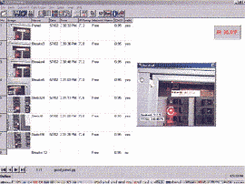 Software para elaboracin y transmisin de imgenes del pirmetro a un PC.